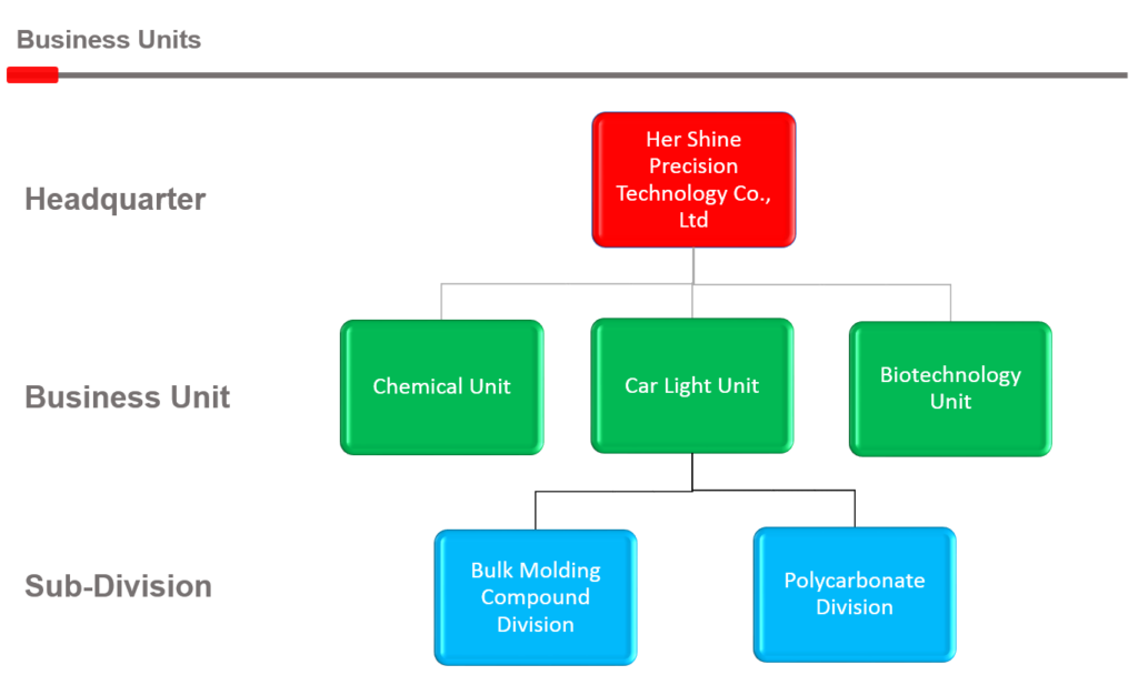 Chart showing an SBU structure with autonomous business units aligned under corporate leadership.