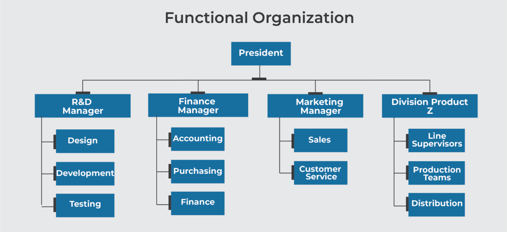 Chart of a functional management structure with specialized departments like marketing, finance, and HR