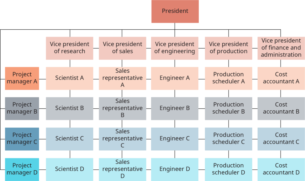 Chart of a functional management structure with specialized departments like marketing, finance, and HR.