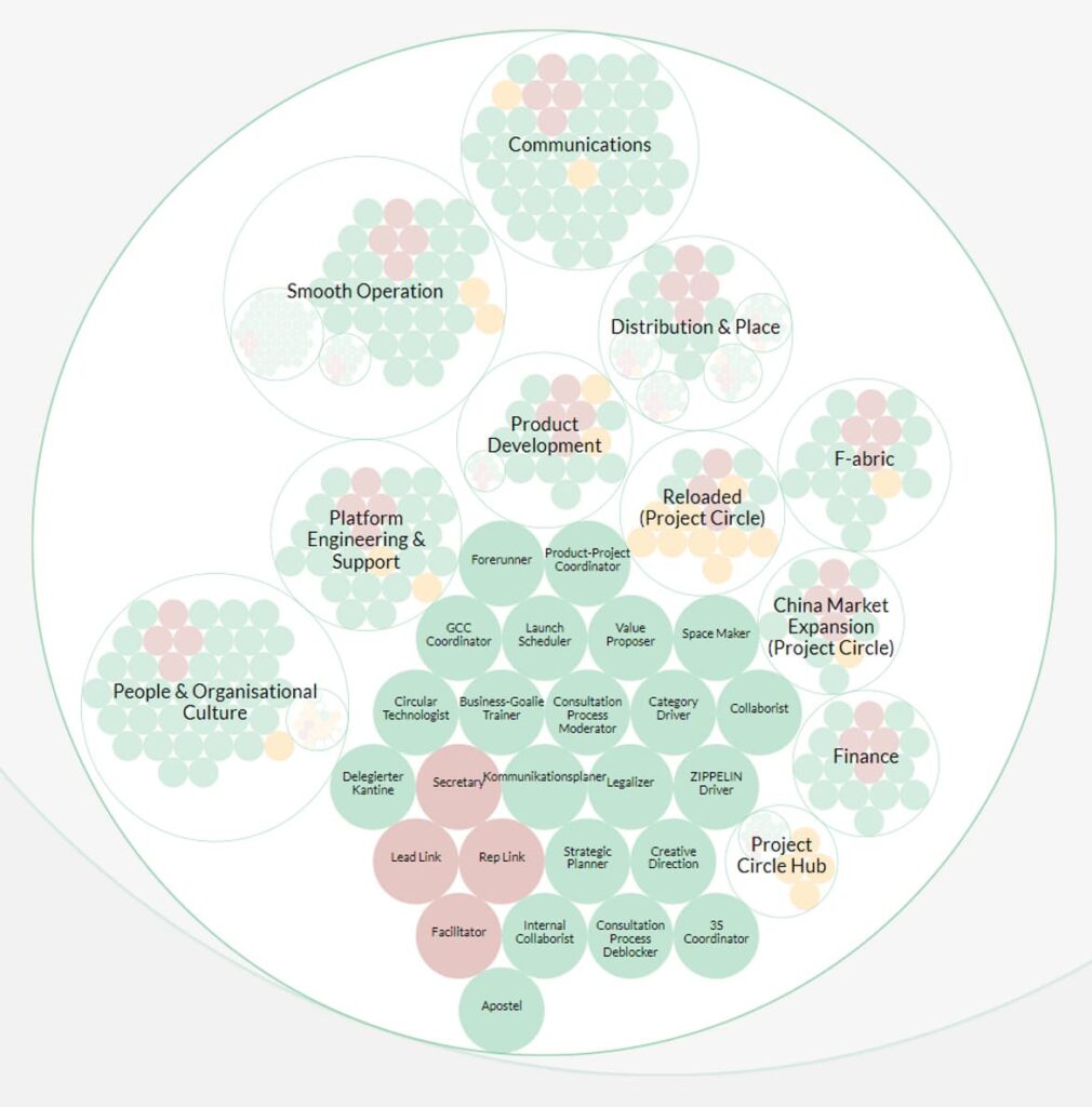 Circular representation of a holacracy structure with distributed authority and self-organizing teams.